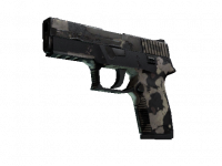 P250 Black & Tan